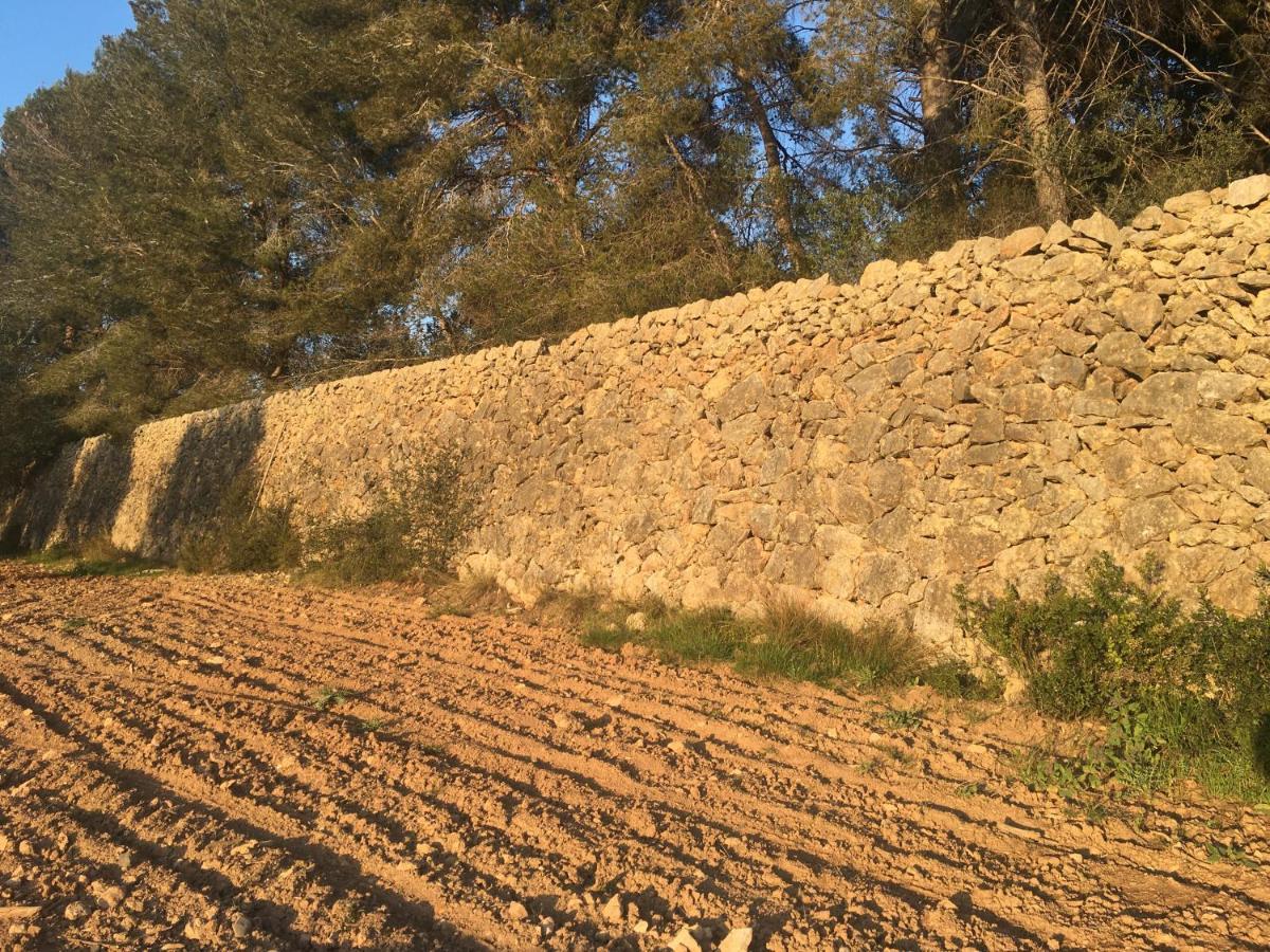 Vila Casa Con Gran Jardin Cerca De La Playa - Baix Tarragona Exteriér fotografie